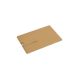 Chiavetta USB a Forma di Carta in Paglia di Grano, Design Ecologico per Gadget Promozionali - Product Image 1