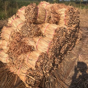 Producteur vietnamien de joncs de mer séchés en balles, prix le plus bas, joncs de mer naturels à vendre - Product Image 6