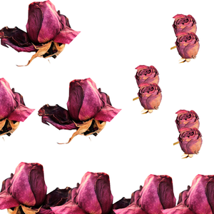 Flor de rosa roja seca | Conservada con cuidado para uso a largo plazo - Product Image 2