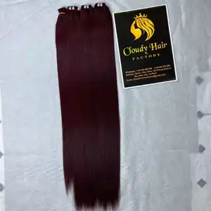 色付きブルゴーニュボーンストレートベストセラーベトナム人毛レミーバージンキューティクルベトナム名ベンダーからの整列した髪