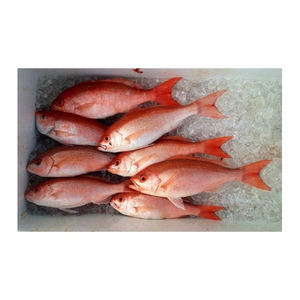 Mullet rojo del Mar Negro congelado, suministro a granel, venta al por mayor, calidad premium de mariscos - Product Image 6