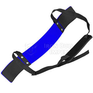 Fabricant pakistanais Logo personnalisé Blaster de bras pour l'haltérophilie Produit de gros - Product Image 2