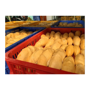 FRUTAS TROPICALES CONGELADAS DE VIETNAM/DURIAN CONGELADO AL VACÍO y RIVIAN DURIAN DELICIOSO para EXPORTAR con la mejor oferta - Product Image 4