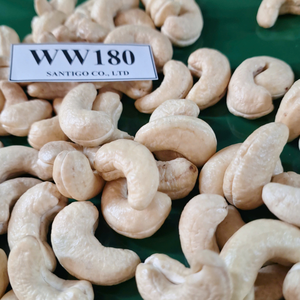 Fournisseur de confiance du Vietnam Noix de cajou SANTIGO Noix de cajou Kaju Noix de cajou W180 Bon marché en vrac Noix De Cajou - Product Image 1