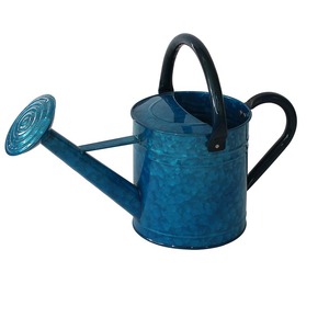 Articles de jardin ménagers et décoration de plantes bidon d'eau Top tendance bidon d'eau en métal de finition antique dorée - Product Image 6
