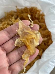 Cleaned Natural Dried <b>Fish</b> Maw No Chemical No Bleach High Protein Sea <b>Food</b> for Health Conscious Consumers - Product Image 5