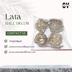 Arreglo Floral Seco en Bola de Primera Calidad, Ecológico y Duradero, para Decoración del Hogar, Oficina, Bodas, Día del Padre y Graduaciones - Product Image 2