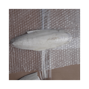 Os de seiche séché pour oiseaux Ossa Sépia de haute qualité pour animaux 100% Os de seiche naturel du Vietnam 99GD - Product Image 4