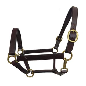 Licou de cheval en cuir de qualité supérieure doux et élégant avec boucles et raccords en laiton - Product Image 2