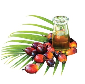 น้ำมันปาล์มบริสุทธิ์ราคาประหยัดสำหรับการทำอาหารประจำวัน - Product Image 4