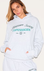 Sudadera con capucha bordada de longitud completa Premium Ash Grey Drop Shoulder para mujer Sudaderas con capucha antiarrugas y transpirables Sudadera con cremallera para mujer - Product Image 4