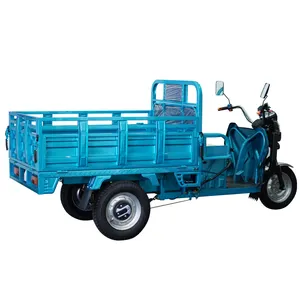 Giá Rẻ E-Trikes 3 Bánh Xe Hàng Hóa Điện Ba Bánh Xe Gắn Máy Ba Bánh Xe Dành Cho Người Lớn