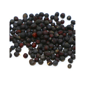 Suministro a granel de colza con entrega rápida para uso alimentario e industrial - Product Image 1