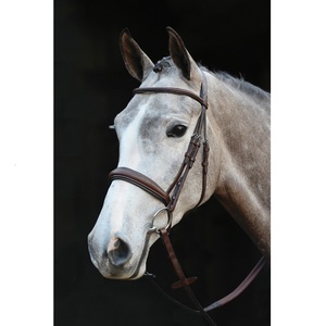 Brida acolchada ancha elevada Asequible de alta calidad Media banda de nariz redonda para montar a caballo a precio asequible Calidad ecuestre - Product Image 1