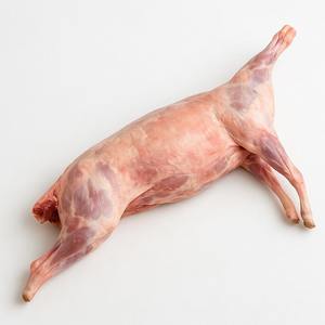 Carne de cordero fresca congelada, procesada halal, con hueso, carcasa completa de cordero, calidad premium para mercados mayoristas a nivel mundial - Product Image 3