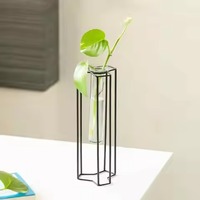 Vase de sol en fer fait à la main avec tube en verre et design de pot