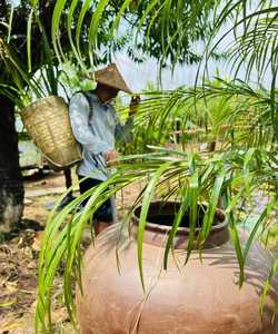 หมวกทรงกรวยทำจากไม้ไผ่เวียดนามวัสดุธรรมชาติ100% สำหรับตกแต่งเกษตรกรหมวกแบบดั้งเดิมจากที่สูง - Product Image 6