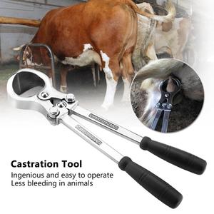 MAHERSI 19\" Emasculation Castration <b>Veterinary</b> <b>Syringe</b> <b>Needle</b> - Product Image 1