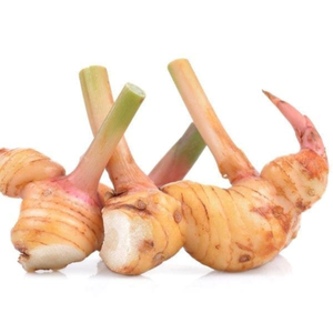 GALANGAL FRAIS CONGELÉ POUR L'EXPORTATION-QUALITÉ SUPÉRIEURE, MEILLEUR PRIX, FABRIQUÉ AU VIETNAM - Product Image 5