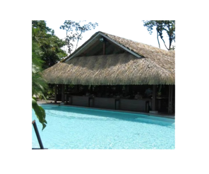 Toiture en herbe pour gazebo de style insulaire, rouleau de chaume en herbe fait à la main pour cabane extérieure - Product Image 1