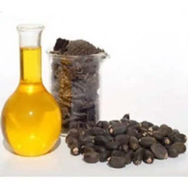 Organic Crude Jatropha Oil, Certification Feature High In Protein, Low Cholestrol