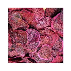 ผลไม้มังกรแห้งหั่นเป็นชิ้นและบรรจุสำหรับใส่เครื่องปรุงและขนมขบเคี้ยวผสมผลไม้มังกรแห้งแปรรูปในเวียดนาม - Product Image 5