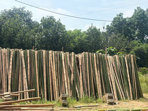 ¡Materias primas personalizadas de bambú Moso respetuosas con el medio ambiente y muy ligeras para cometas Bambou natural! - Product Image 4