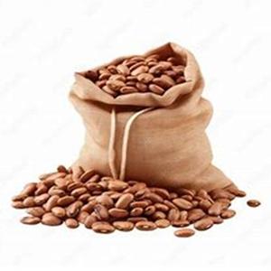 ถั่วไพน์โตสำหรับขายในราคาฟาร์ม - Product Image 2