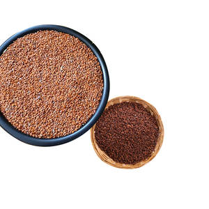 Cress | สมุนไพรทำอาหารออร์แกนิกสำหรับสินค้าส่งออกระดับพรีเมียม - Product Image 2