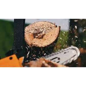 Motosega a Benzina da 10 Pollici con Barra Guida per Attrezzature Elettriche da Esterno - Product Image 3