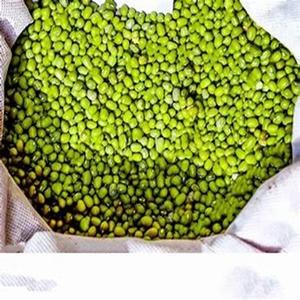 Top Grade Organic of Green <b>lentils</b> Available at Affordable Prices - Product Image 1