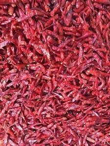 Chile Seco Entero de Vietnam |   Directo de Fábrica |   Exportación al por Mayor - Product Image 4