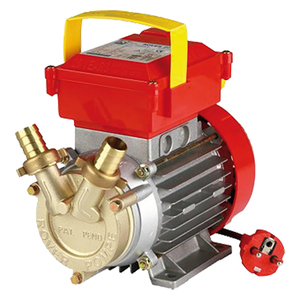 Elettropompa per Trasferimento Liquidi HP 0,5 Be-M20ce-Lt/H.1700 Giri 2850 - Product Image 1