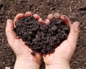 Fertilizante de estiércol de jardinería de terraza de alta calidad, estiércol Vermi Compost Bio Fertilizante - Product Image 4