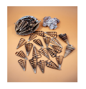 Piezas cortadas de concha de hoja en espiral para exhibiciones de bodas, decoración del hogar y suministro de manualidades a granel - Product Image 1