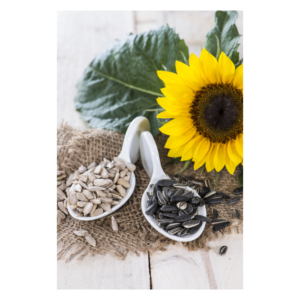 Grosses graines de tournesol biologiques New Crop exportation au meilleur prix en vrac - Product Image 2