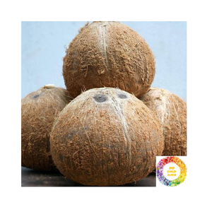 น้ำมะพร้าวกึ่งแกลบสำหรับทำอาหารน้ำผลไม้และอาหารปลอดภัยจากมะพร้าว - Product Image 2