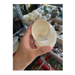 ของตกแต่งเปลือกหอยสีเขียวและสีขาวที่ทำจากเปลือกหอยเวียดนามโดยผู้ส่งออกข้อมูลทองคำ99รายสำหรับนักออกแบบตกแต่งภายใน - Product Image 6