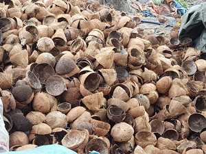 Cáscaras de Coco Rotas 100% Naturales y Virutas de Cáscara de Coco Triturada de Origen Vietnamita para la Elaboración de Carbón Vegetal a Precio Mayorista Económico - Product Image 4