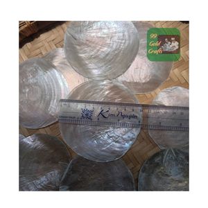 VIETNAM MEILLEURE VENTE CLEAR CAPIZ SEASHELL POUR LA DÉCORATION DE LA MAISON CARILLON À VENT CAPIZ SEASHELL POUR LA CONCEPTION DE LA MAISON TENSION MURALE - Product Image 2