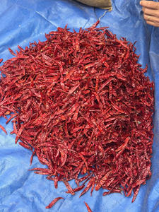 Piments rouges séchés naturels sans tige, qualité supérieure pour le marché international des épices, vente en gros, emballage en vrac, expédition mondiale - Product Image 2