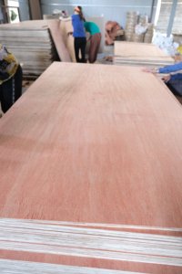 Bois dur commercial (acacia/eucalyptus/mélange) pressé à chaud 2 fois, épaisseur 4,6-30 mm, Vietnam, design moderne pour meubles, garantie 1 an - Product Image 6