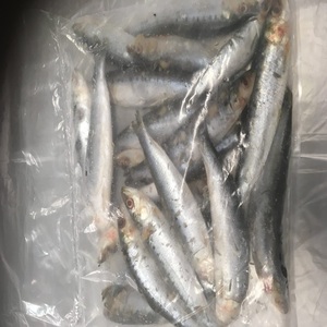 Exportación de sardinas de Poisson congeladas Precio por tonelada Sardina congelada Pescado al por mayor - Product Image 3