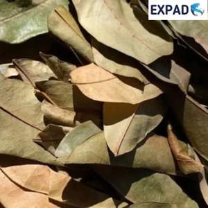 Une façon sûre et saine Soursop laisse des prix bon marché du Vietnam - Product Image 4