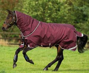 Manta de Invierno para Caballo, Impermeable y Transpirable, 1200D, para Doma Clásica, con Forro de Plumas, 2 Correas para las Patas, Ligera y de Lujo - Product Image 2