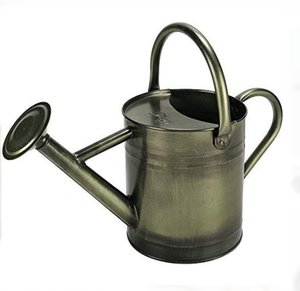 Large Capacity Gold Polished Most Popular <b>Water</b> Cane Home and Garden Decorative Classic Finished Metal <b>Water</b> <b>Can</b> - Product Image 4