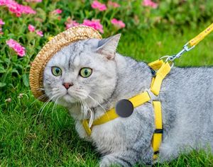 Localizador GPS Mini Magnético 4G para Crianças, Bagagens e Animais de Estimação, Localizador Recarregável com <span class=keywords><strong>SIM</strong></span> - Product Image 6