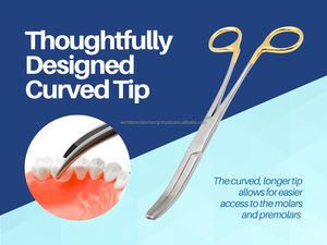 Kit chirurgical dentaire manuel Wynman : Forceps de préhension et d'extraction de couronnes, outil de retrait de couronnes en acier inoxydable, certifié CE - Product Image 2