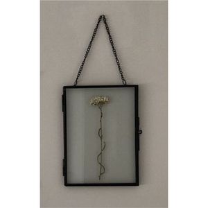 Marco de Fotos de Metal para Pared, Estilo Antiguo, Negro, con Bisagras, Doble Cristal, para Flores Secas y Arte - Product Image 5