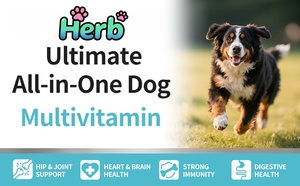 Vitaminas y Suplementos para Perros de Marca Privada OEM ODM - Salud de las Articulaciones de las Mascotas - Inmunidad - Movilidad - Energía - Intestino - Piel - Product Image 3